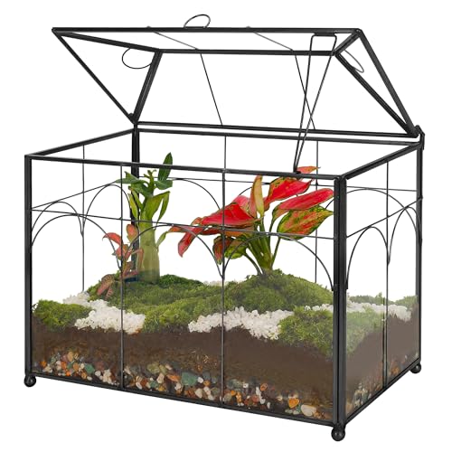 REDHUGO Glass Planter Terrarium