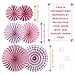 First Birthday Decorations & Party Supplies by Aliza | Monthly Milestone Banner - One Cake Topper – 1st Birthday Hat - Balloons - Pink Paper Fans – The Complete Baby Girl Party Decor Set