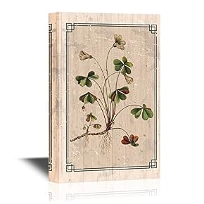 Color Illustration of Flowers in Watercolor Paintings