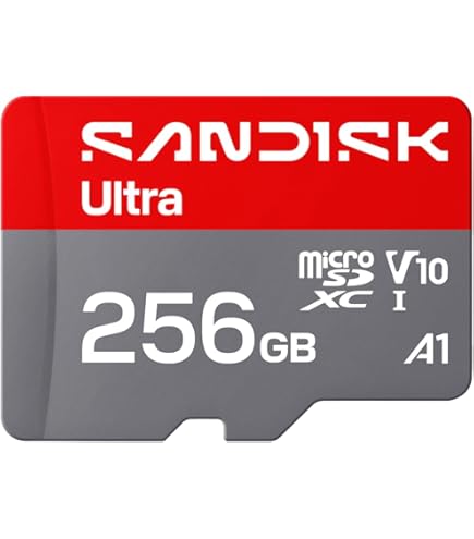 Amazon.com: SANDISK 256GB Extreme microSDXC UHS-I Memory Card with
