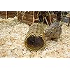 Nature First Large Willow Tube for Small Animals