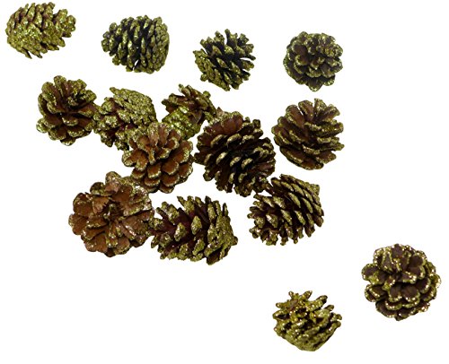 J&J's ToyScape 45-Pcs Christmas Decorative Pine Cones - Natural, Glitter Gold & White | Vase Fillers, Table Scatter, Home Decor, Bowl Display, Christmas Tree