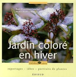 Jardin coloré en hiver
