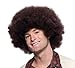 Rubie's Costume Deluxe Afro Wig,Dark Brown, One Size