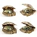 Saltwater Pearl Oyster, 4 PCS Love Wish Saltwater Akoya Pearl Oyster 6-7mm Pearl Inside for Jewelry Making or Birthday Gifts