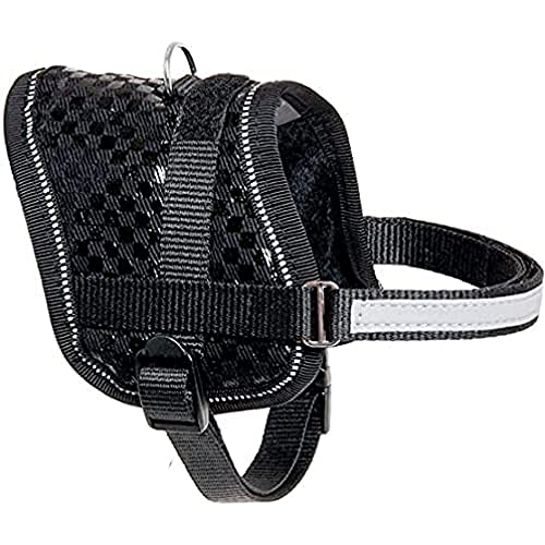 Karlie - Teeny Weeny / 60000 - Harnais - Noir - 15 mm / 26-35 cm