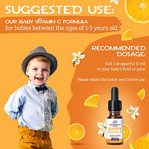 Baby Vitamin C Liquid Drops from Organic Amla Fruit Vegan Non GMO VIT