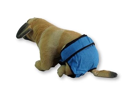 Oz international Reusable Washable Soft Denim Cotton Dog Diapers Nappy Pants Good for Female Menstruation with Two Free Highly Absorbent Medical Grade Pads with Strong & Flexible Velcro