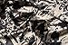 Aphratti Women's Boho Summer Maxi Dress Plus Size Crew Neck Sleeveless Casual Long Sun Dress X-Large Black/Coffee Print