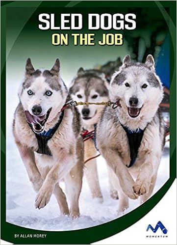 sled dogs amazon
