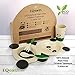 EQearth Kids Dinnerware 5-piece set Plate Bowl Cup Spoon Fork, Microwave and Dishwasher Safe, Natural-Plant-Fiber,Eco-friendly, Biodegradable material, Food-Grade Safe, BPA Free, Non-Toxic, Non-plastic, Panda Theme