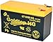 Genuine FiOS OEM Approved Replacement Battery (3 Year Warranty) by GS Battery - GT12080-HG - Premium Replacement for PX12072-HG