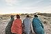 Kelty Bestie Blanket, Limited Edition - Indoor/Outdoor Insulated Camping Blanket