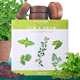 Nature's Blossom Herb Garden Seed Starter Kit. Grow 4 Herbs from Organic Seeds - Basil, Cilantro, Parsley, Thyme. A Complete Beginner Gardeners Gardening Set. Unique Holiday Gift Idea.