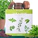 Nature's Blossom Herb Garden Seed Starter Kit. Grow 4 Herbs from Organic Seeds - Basil, Cilantro, Parsley, Thyme. A Complete Beginner Gardeners Gardening Set. Unique Holiday Gift Idea. primary