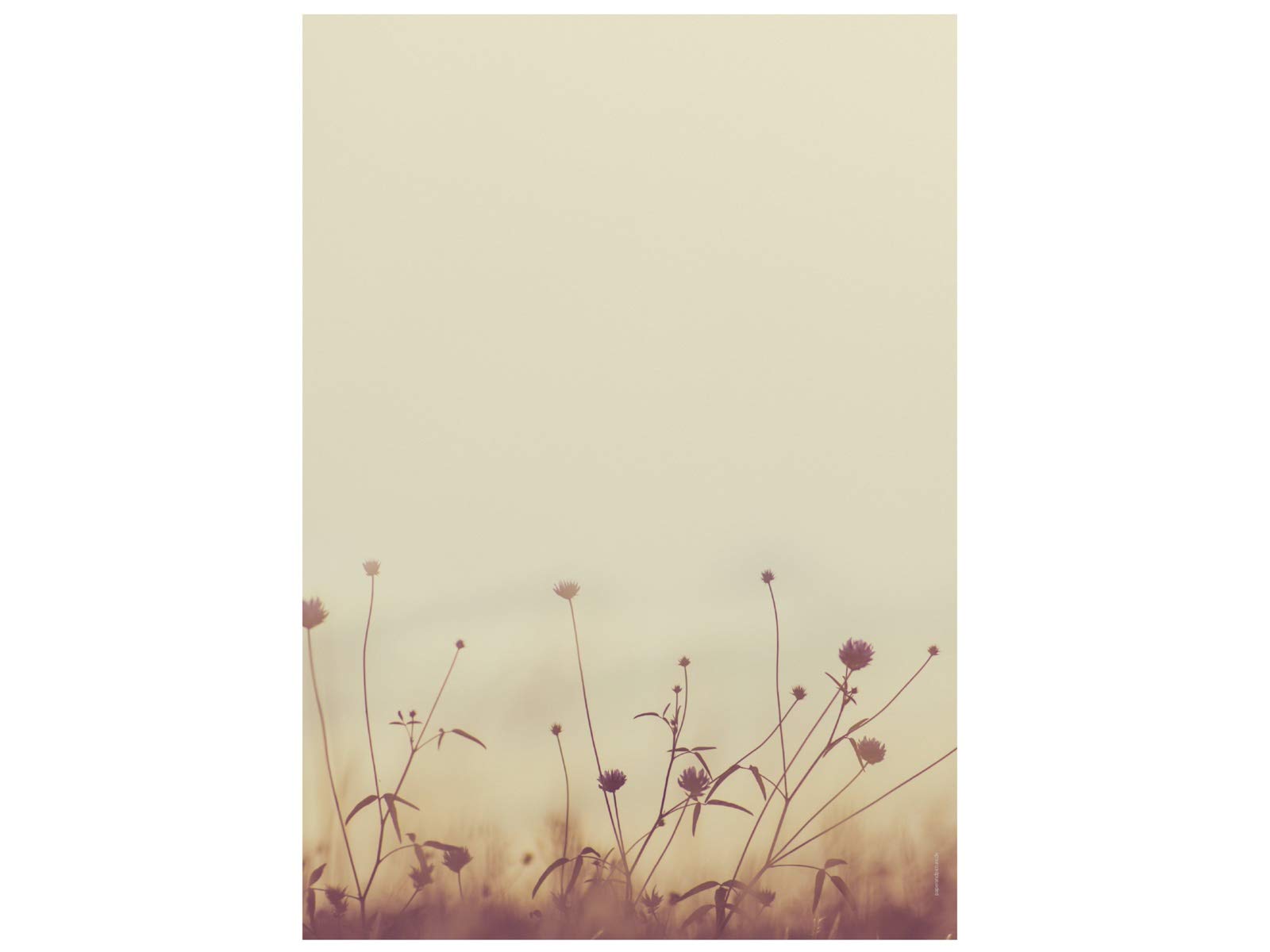Writing Paper | Autumn Meadow in the Sun | 100 Sheets Autumn Design Paper DIN A4
