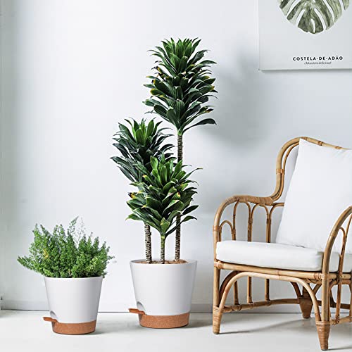 T4U 8 Inch Plastic Plant Pots - Indoor Self Watering Planter Flower Pot ...