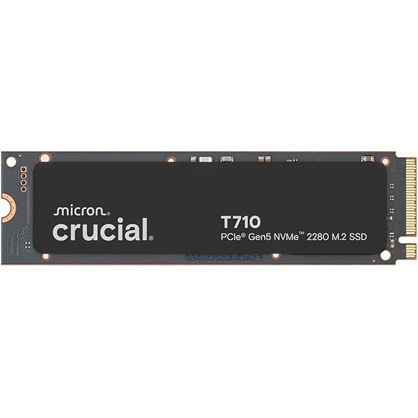 Amazon.com: msi SPATIUM M560 PCIe 5.0 NVMe M.2 1TB Portable SSD
