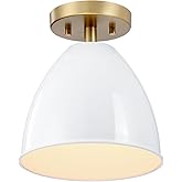 DESIGNERS FOUNTAIN Biba Semi Flush Mount Ceiling Light, 8.25 Inch Indoor Fixture for Kitchen, Bedroom, Bathroom, and Hallway,