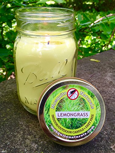 Natural Lemongrass, Citronella Mosquito Repellent Candle, Indoor/Outdoor - 88 Hour Burn - Naturally Repels Insects with Essential Oils, Soy Base, Ball Mason Jar, Made in USA, from Mosquito Naturals Natural Lemongrass, Citronella Mosquito Repellent Candle, Indoor/Outdoor - 88 Hour Burn - Naturally Repels Insects with Essential Oils, Soy Base, Ball Mason Jar, Made in USA, from Mosquito Naturals