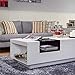 24/7 Shop at Home Milton Modern Rectangle Coffee Table with Storage, Matte Finish with Glass Window Shelf, 2 Open Shelves, Wooden Furniture for Living Room, Office, White & Black