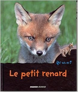Le Petit Renard Chottin Ariane Amazon De Bucher