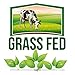 Tasty Superfoods Grass Fed Organic Ghee - Glass Jar of Pure Unsalted Clarified Butter from Grass-Fed Cows - Best Healthy Oil for Indian Cooking, in Coffee, or for diets like Paleo Keto Whole 30 (16oz)