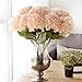 Youngman 5 Heads Hydrangea Beautiful Artificial Flower Bunch Bouquet Home Wedding Decor (Champagne)
