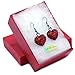 Valentine's Day Red Heart Earrings Love Be Mine Dangle Hook Style Red Paved Rhinestone Fashion Jewelry