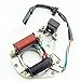 ATV QAUD STATOR IGNITION MAGNETO PLATE 50 110 125 110cc CHINESE 2 COIL - TAOTAO