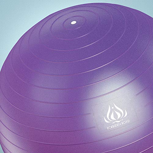 Forbidden Road Exercise Yoga Ball (4 Sizes, 4 Colors) 400 lbs Anti-Burst Slip-Resistant Yoga Balance Stability Swiss Ball for Fitness Exercise with Free Air Pump (Purple, Diameter: 50-55cm)