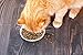 IAMS Proactive Health Indoor Weight & Hairball Care Adult Dry Cat Food with Chicken & Turkey, 3.5 lb. Bag