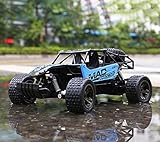 RC Cars, All Terrain Remote Control High-Speed Telecar, Offroad 2.4Ghz 2WD Remote Control Monster Truck, Best Christmas Gift for Kids and Adults(Blue)