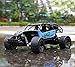 RC Cars, All Terrain Remote Control High-Speed Telecar, Offroad 2.4Ghz 2WD Remote Control Monster Truck, Best Christmas Gift for Kids and Adults(Blue)