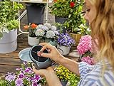 Gardena AquaBloom Solar-Powered Irrigation Set for Balcony & Patio Plants view 10
