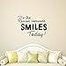 Vinyl Wall Art Decal - Be The Reason Someone Smiles Today - 18