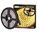 Lepro 12V LED Strip Light, Flexible, SMD 2835, 16.4ft Tape Light for Home, Kitchen, Party, Christmas and More, Non-Waterproof, Warm White(Not Include Power Adapter)