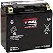 Yuasa YUAM624B4 YT14B-BS Maintenance Free AGM Battery with Acid pack