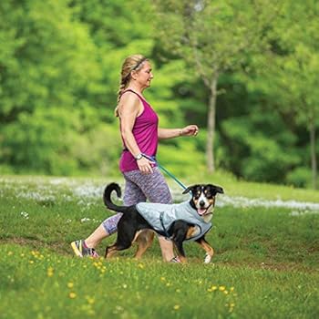 Kurgo core cooling dog vest Clearance