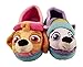 Paw Patrol Skye and Everest Slippers for Girls (Medium (7-8))