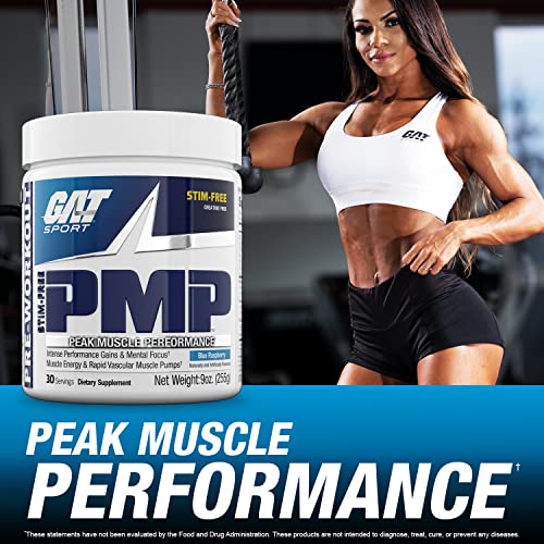 GAT Sport PMP (Peak Muscle Performance), PreWorkout, 30 Servings (Raspberry Lemonade) Pricepulse