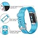 iGK For Fitbit Charge 2 Bands, Adjustable Replacement Bands with Metal Clasp for Fitbit Charge 2 Wristbands Special Edition SkyBlue Large