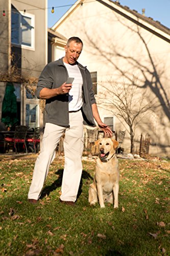 garmin delta smart dog