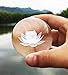Waltz&F 60mm Inner Carving Lotus Flower Crystal Paperweight with Stand,Fengshui Crystal Ball Home Decoration