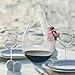 Wine Decanter, EraVino Premium Horn Wine Decanter - Crystal Wine Decanter.
