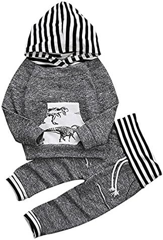 Toddler Infant Baby Boys Dinosaur Long Sleeve Hoodie Tops Sweatsuit Pants Outfit Set (0-6 Months, Grey)