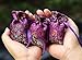 Anianiau Lavender Scented Sachets - Effectively Repel Insects and Moths Purifies Bad Odour 6 Pack