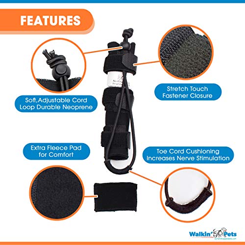 Walkin' Rear NoKnuckling Training Sock Helps Dogs Pick up Their Feet