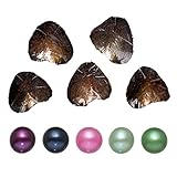 5PC Freshwater Cultured Love Wish Pearl Oyster with Pearl Inside Five Colors (Round Shape) (7-8mm).