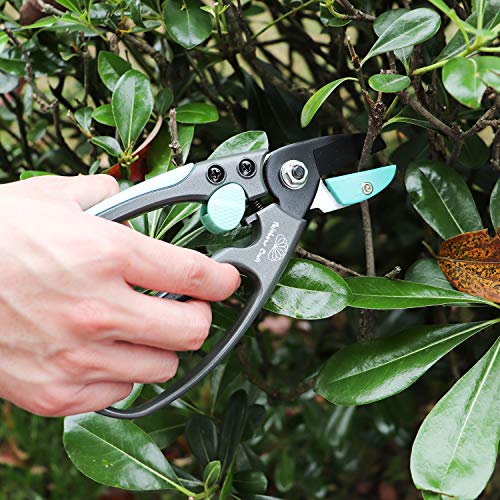 Rainbow Craft 8'' Anvil Pruner Shear, Rose Cutters, Herbs Scissors, Plant Trimming Shears for Garden&Lawn - Blue Color